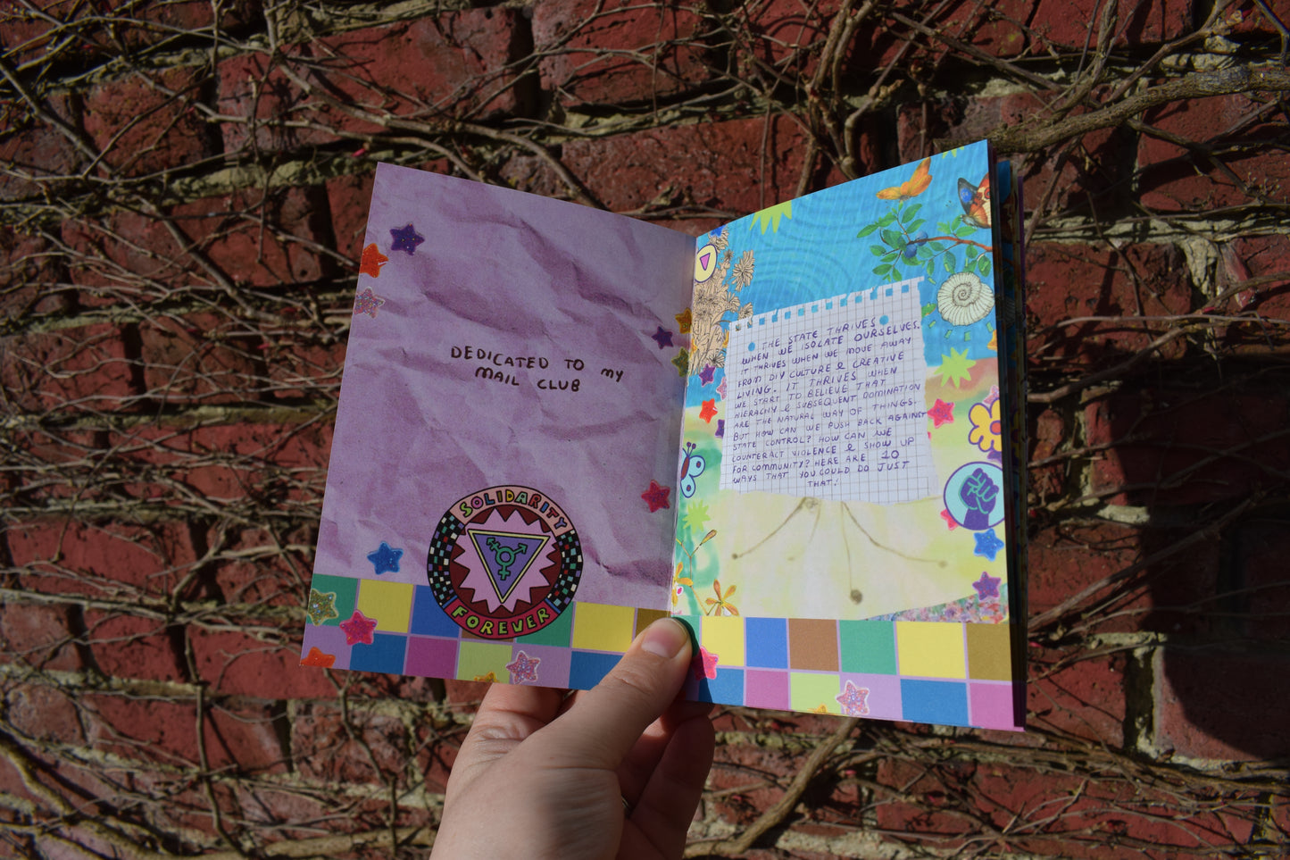 10 ways to resist the harms of the state ZINE