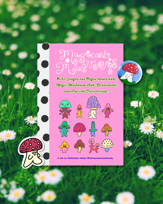 Magical mushrooms bundle